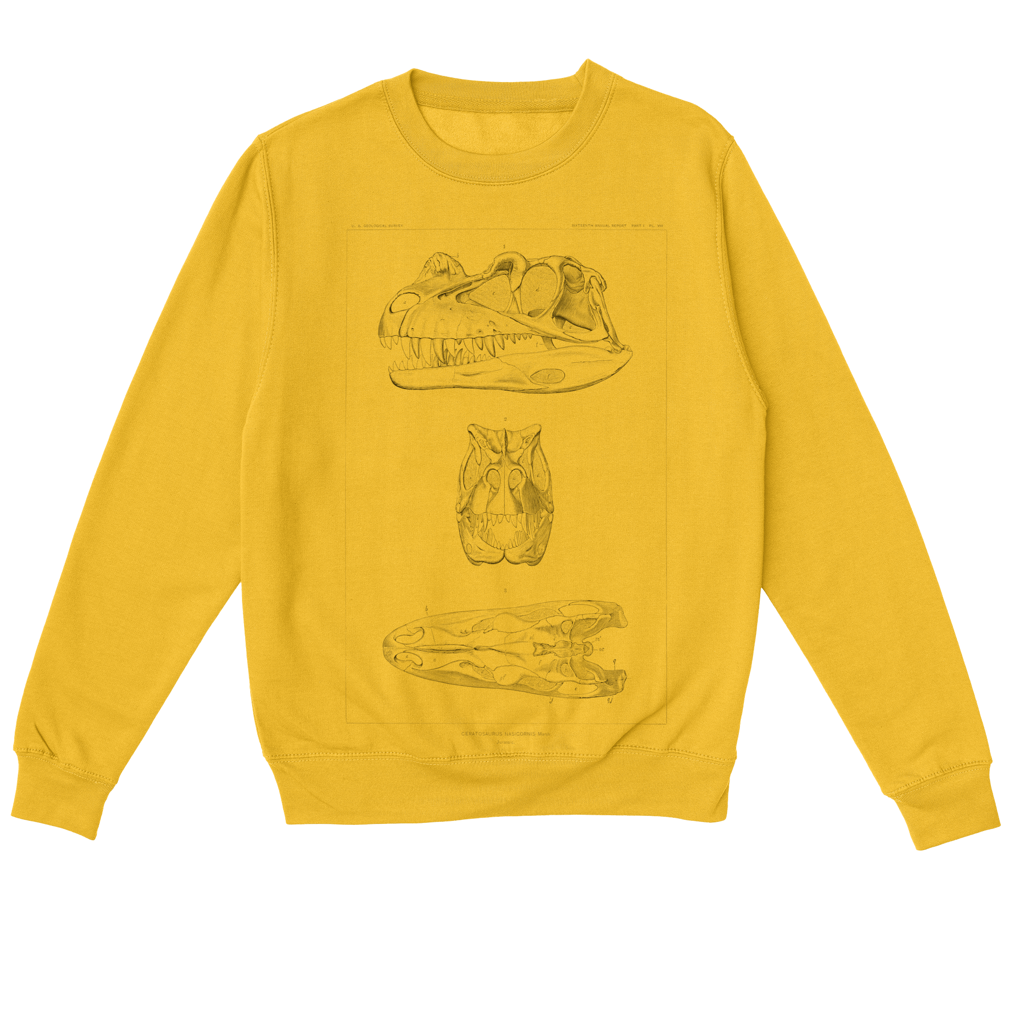 Ceratosaurus Nasicornis – Vintage Dinosaur Illustration Sweatshirt
