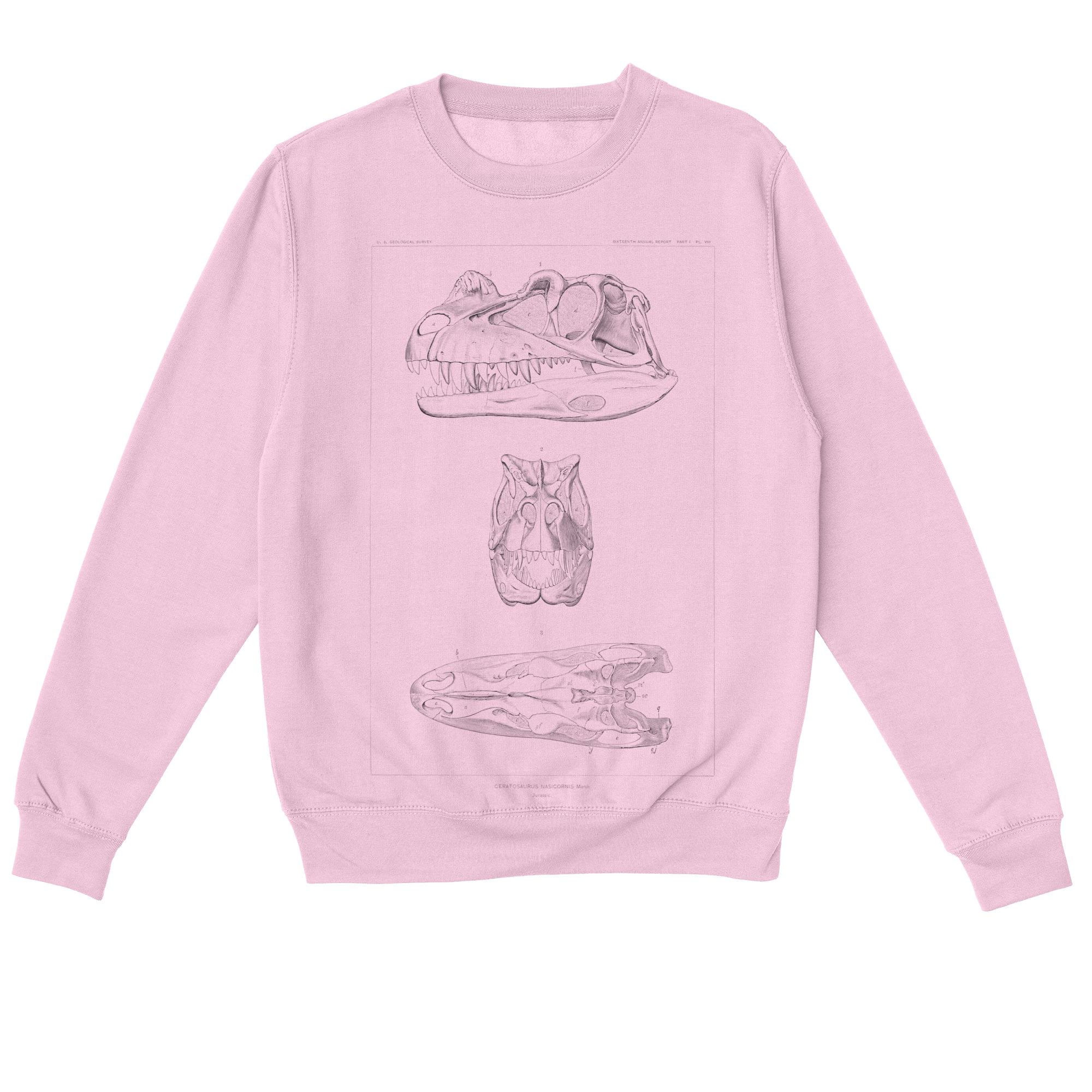 Ceratosaurus Nasicornis – Vintage Dinosaur Illustration Sweatshirt