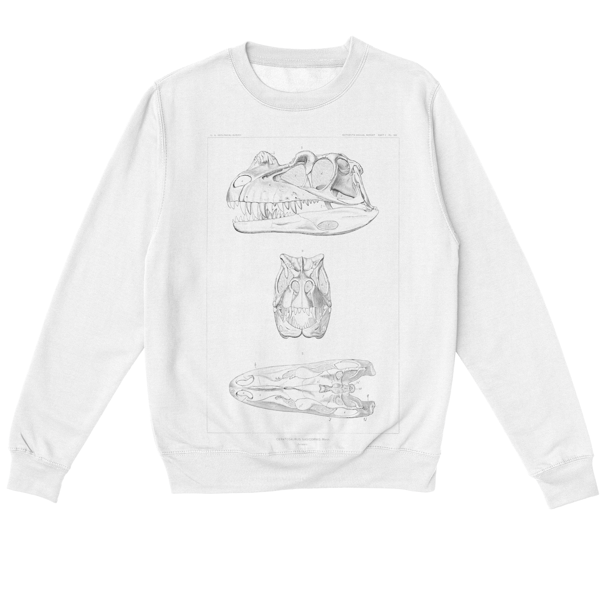 Ceratosaurus Nasicornis – Vintage Dinosaur Illustration Sweatshirt