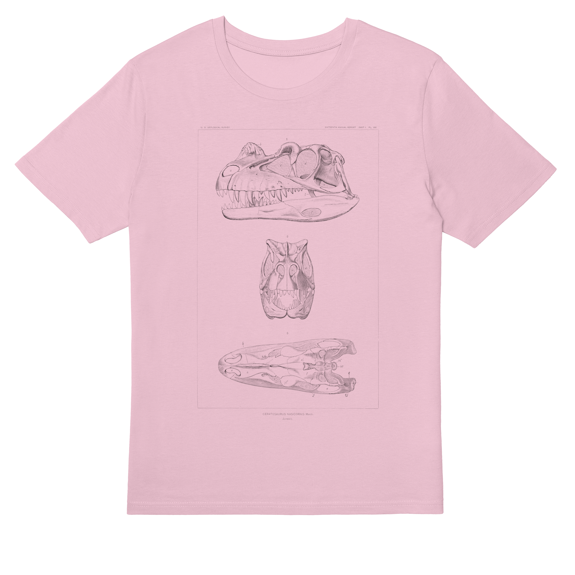 Ceratosaurus Nasicornis – Vintage Dinosaur Illustration T-Shirt