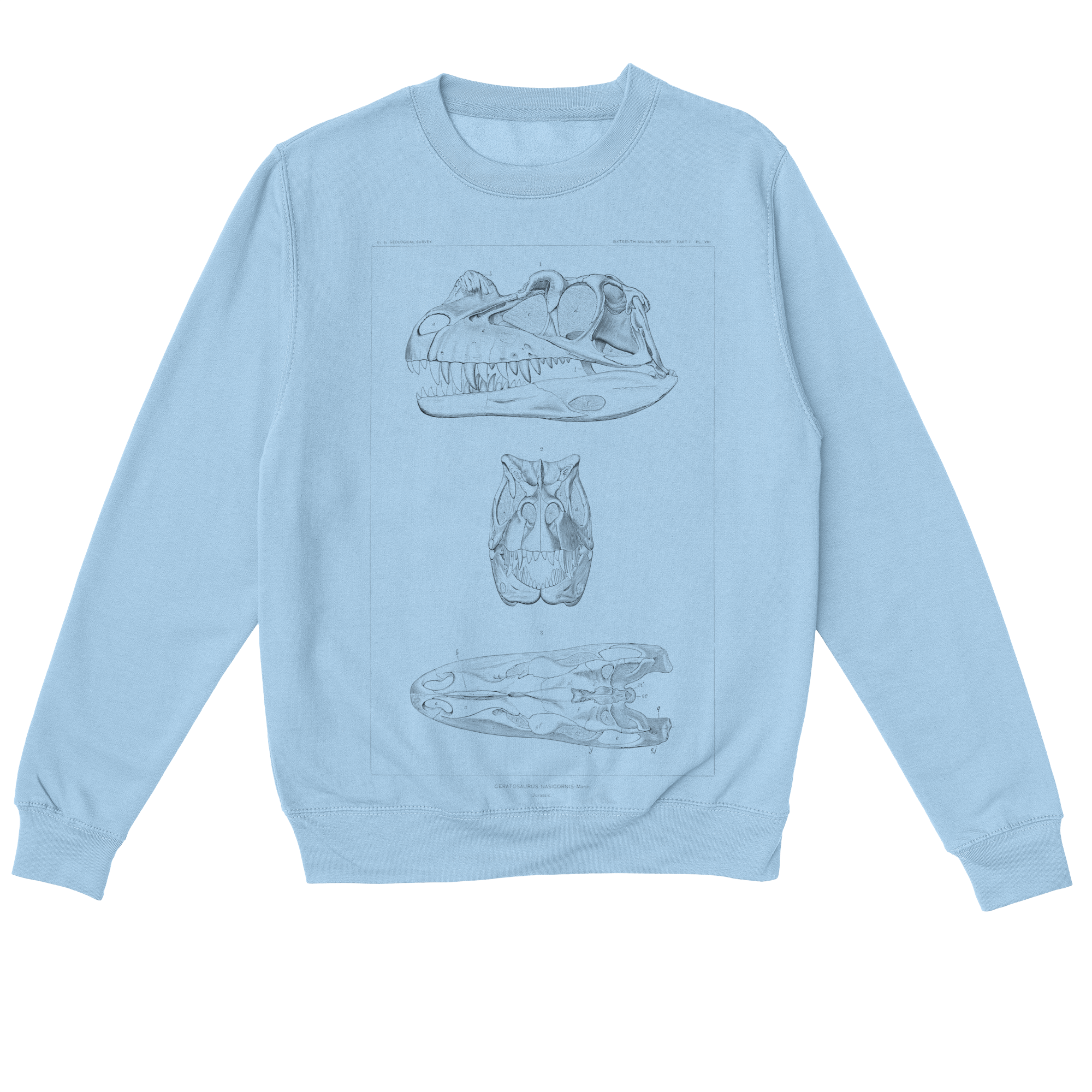 Ceratosaurus Nasicornis – Vintage Dinosaur Illustration Sweatshirt