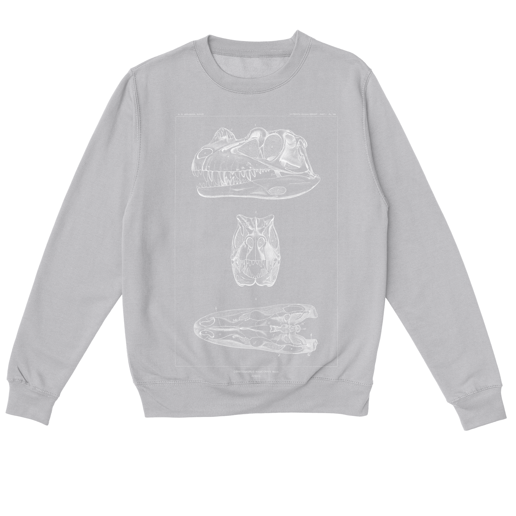 Ceratosaurus Nasicornis – Vintage Dinosaur Illustration Sweatshirt