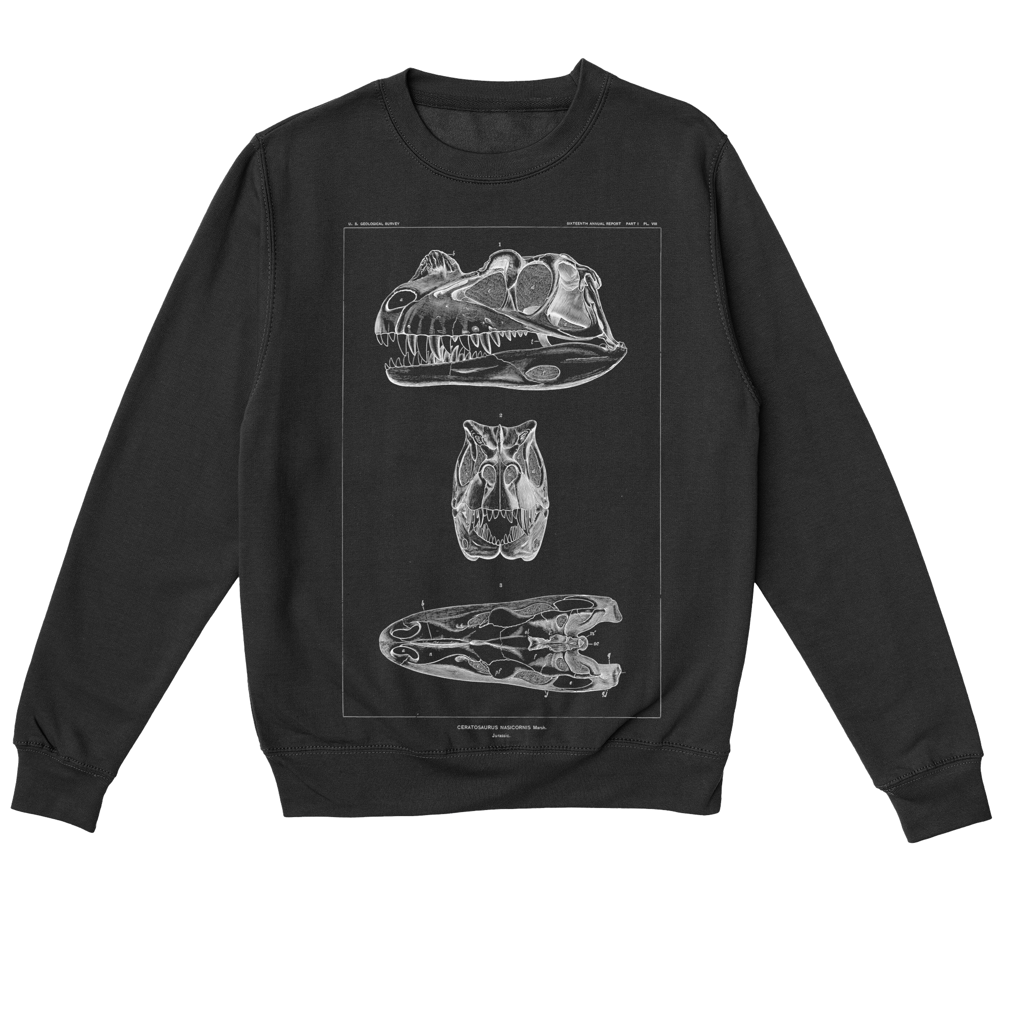 Ceratosaurus Nasicornis – Vintage Dinosaur Illustration Sweatshirt
