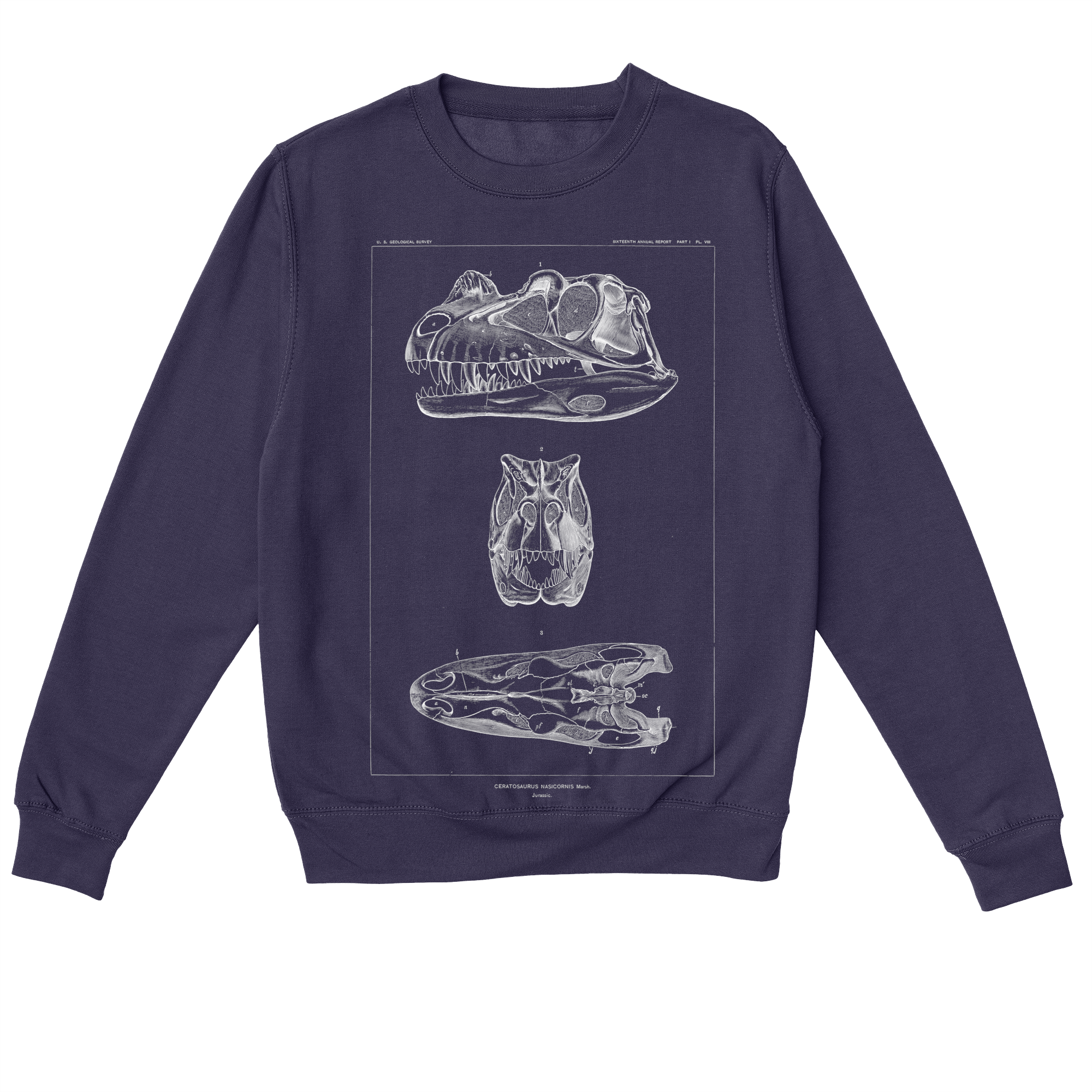 Ceratosaurus Nasicornis – Vintage Dinosaur Illustration Sweatshirt