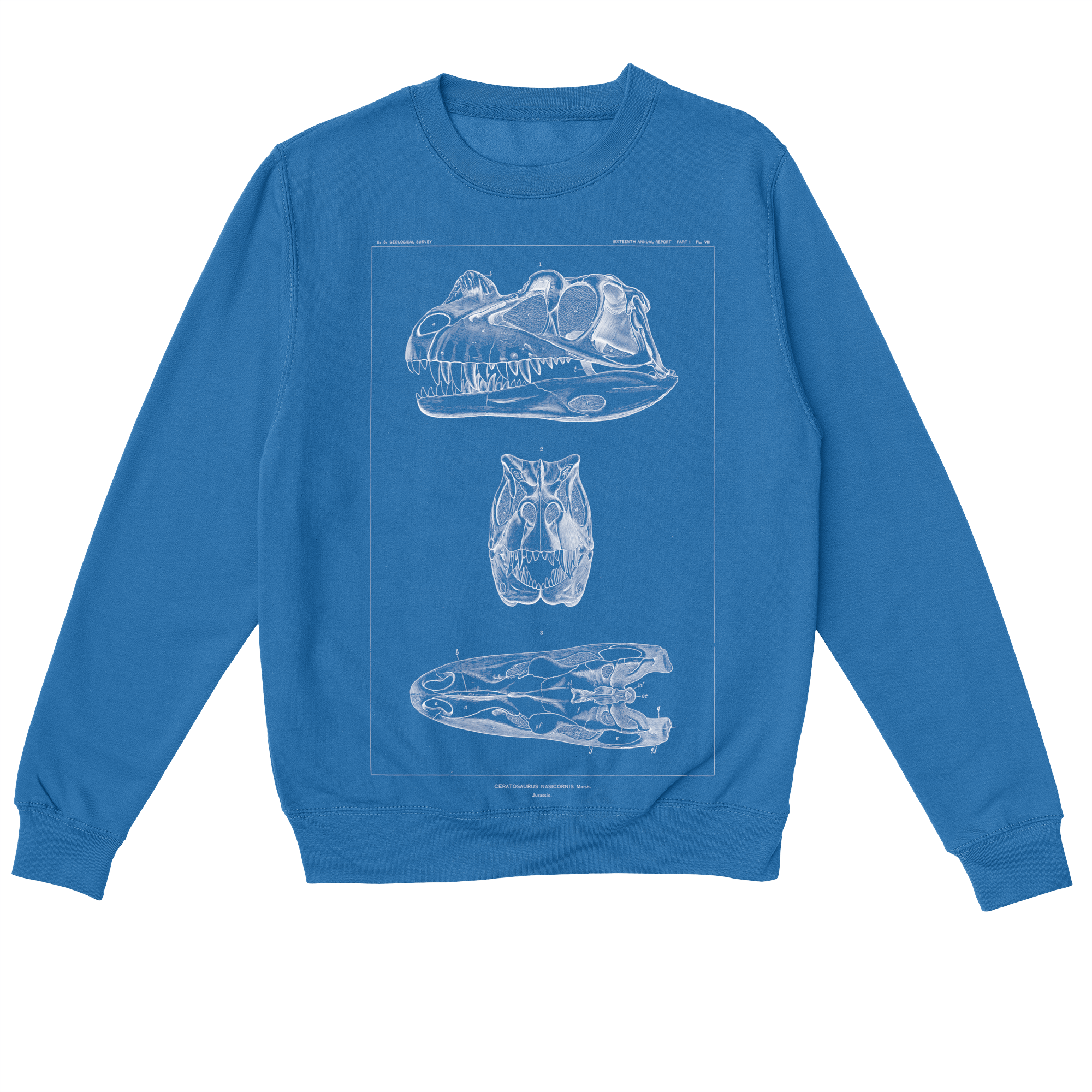 Ceratosaurus Nasicornis – Vintage Dinosaur Illustration Sweatshirt