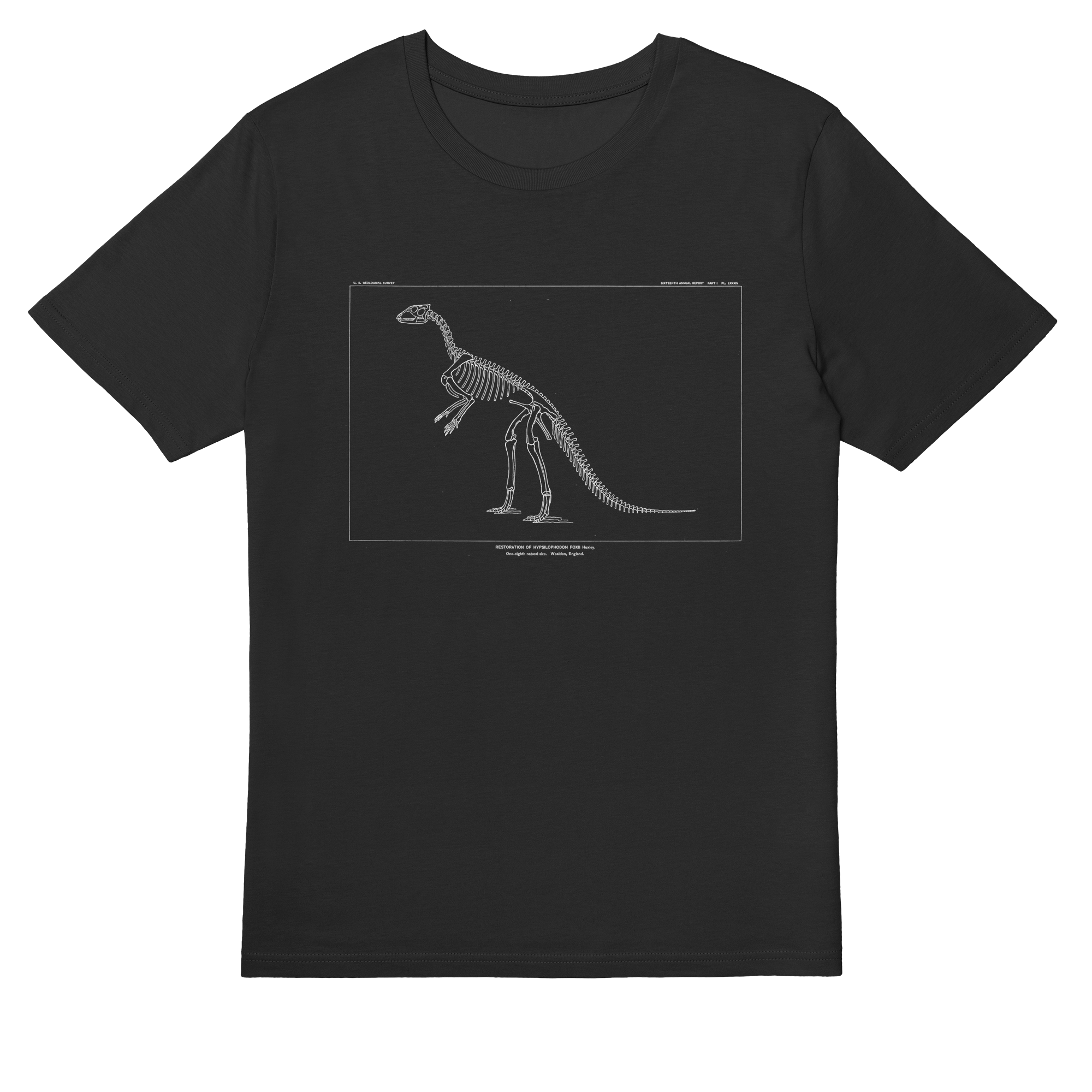 Hypsilophodon Foxii – Vintage Dinosaur Illustration T-Shirt