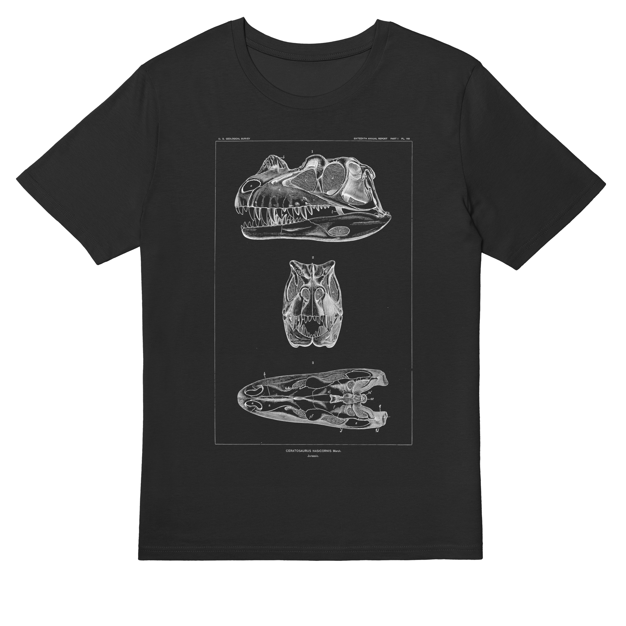 Ceratosaurus Nasicornis – Vintage Dinosaur Illustration T-Shirt