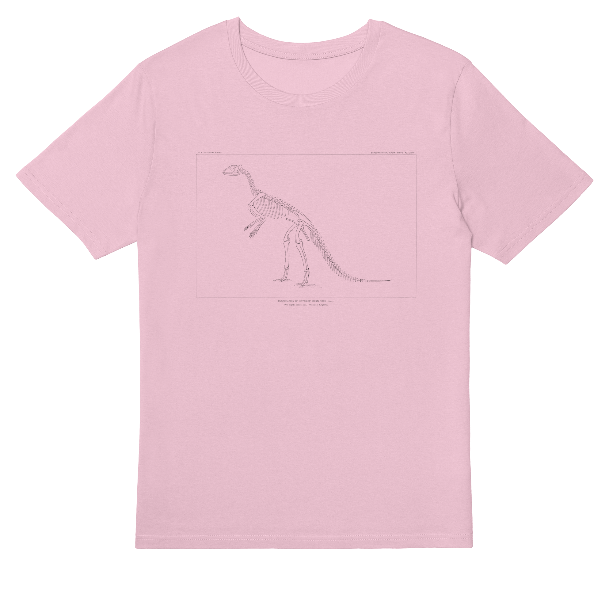 Hypsilophodon Foxii – Vintage Dinosaur Illustration T-Shirt