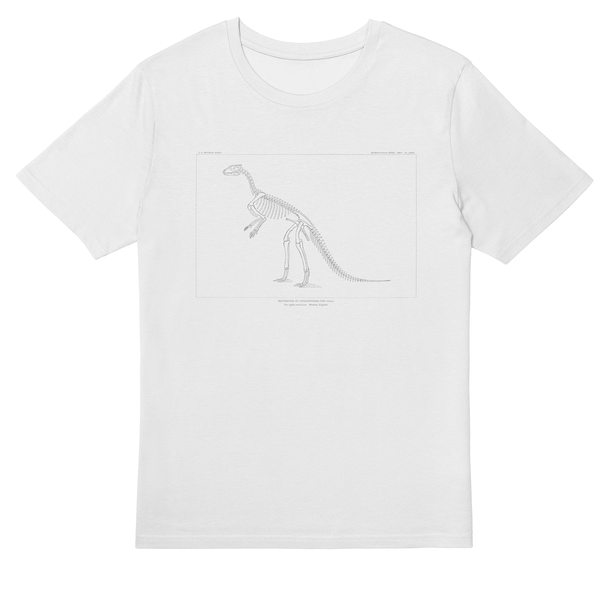 Hypsilophodon Foxii – Vintage Dinosaur Illustration T-Shirt