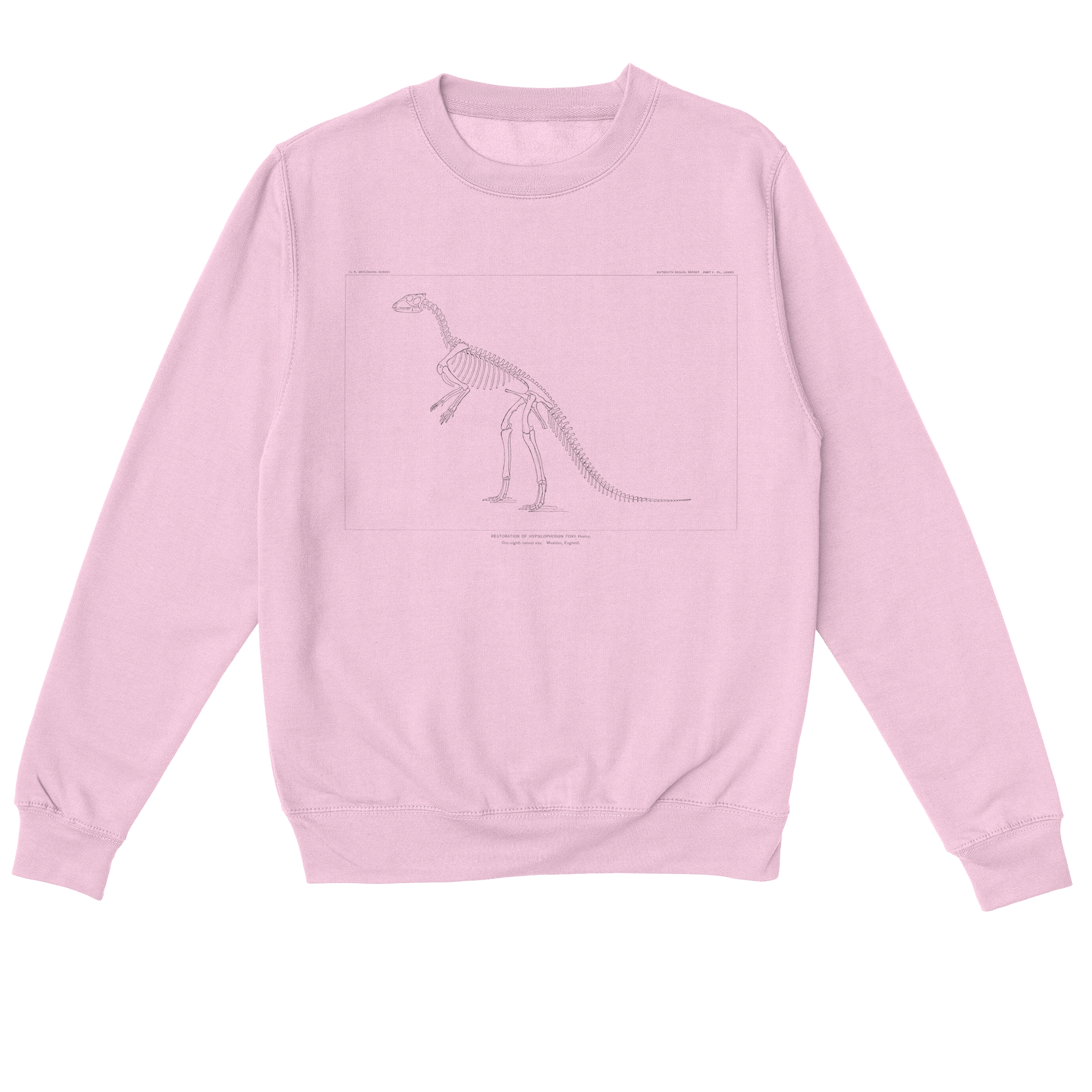 Hypsilophodon Foxii – Vintage Dinosaur Illustration Sweatshirt