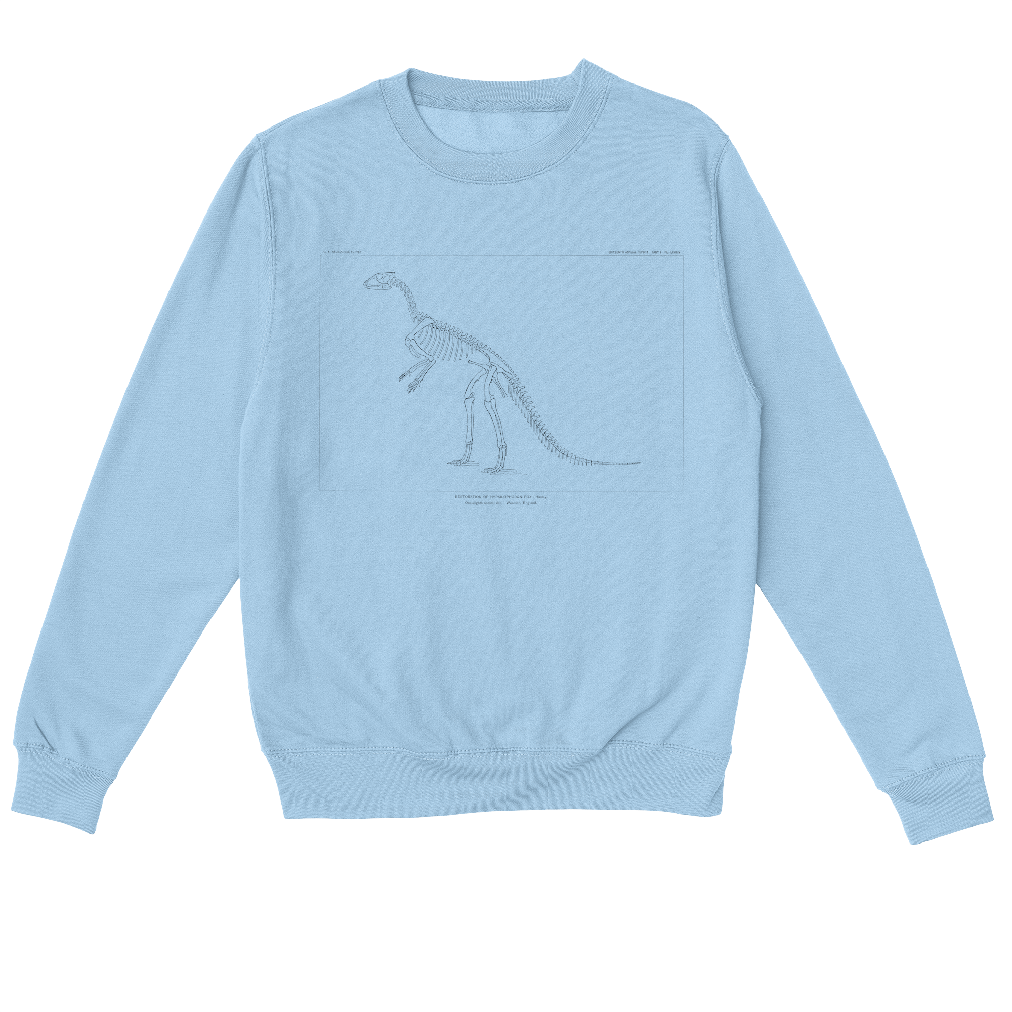 Hypsilophodon Foxii – Vintage Dinosaur Illustration Sweatshirt
