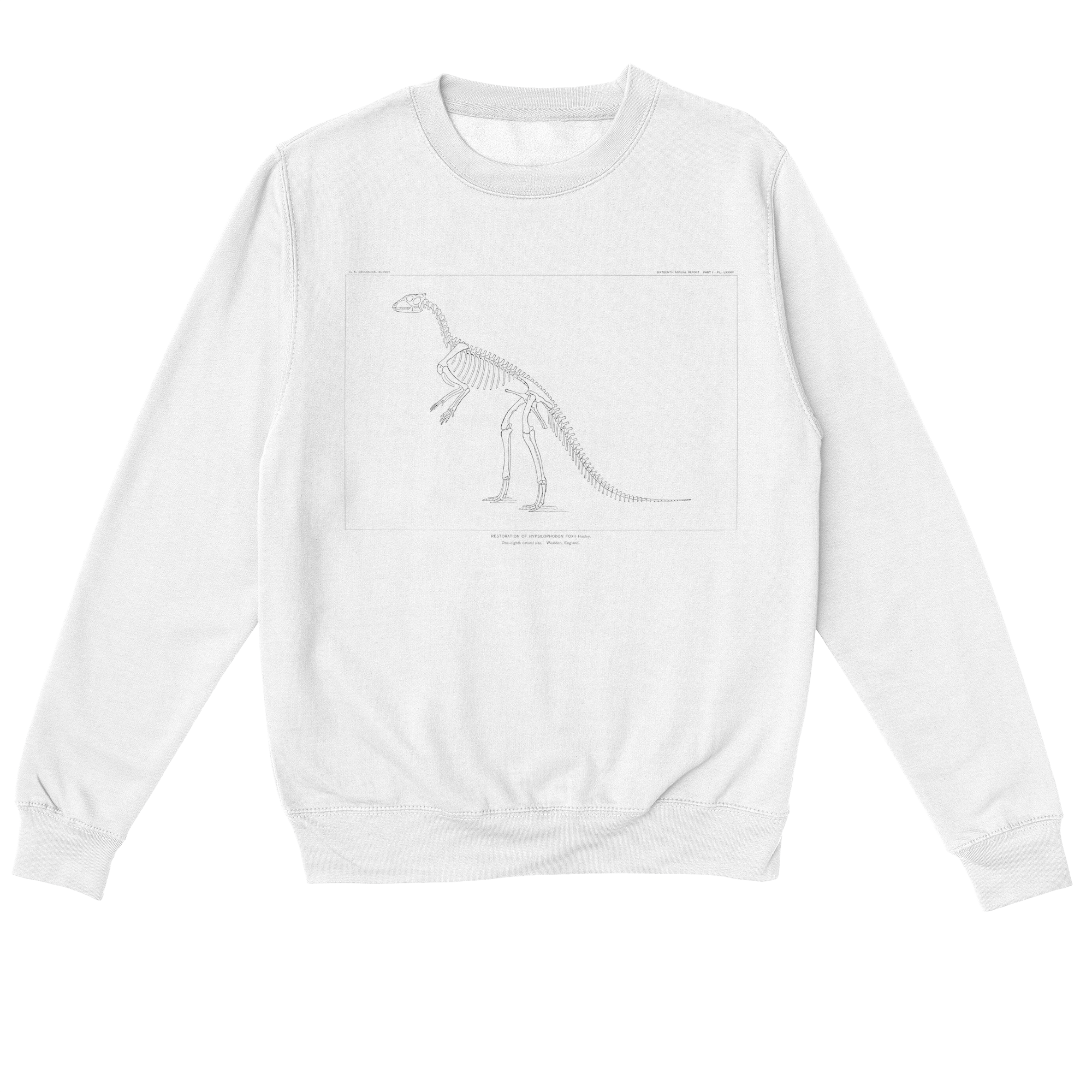Hypsilophodon Foxii – Vintage Dinosaur Illustration Sweatshirt