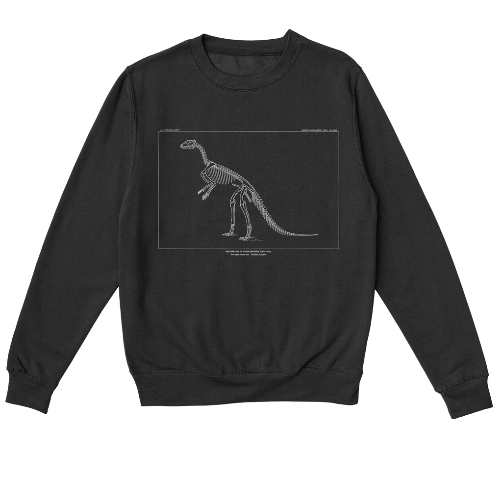 Hypsilophodon Foxii – Vintage Dinosaur Illustration Sweatshirt