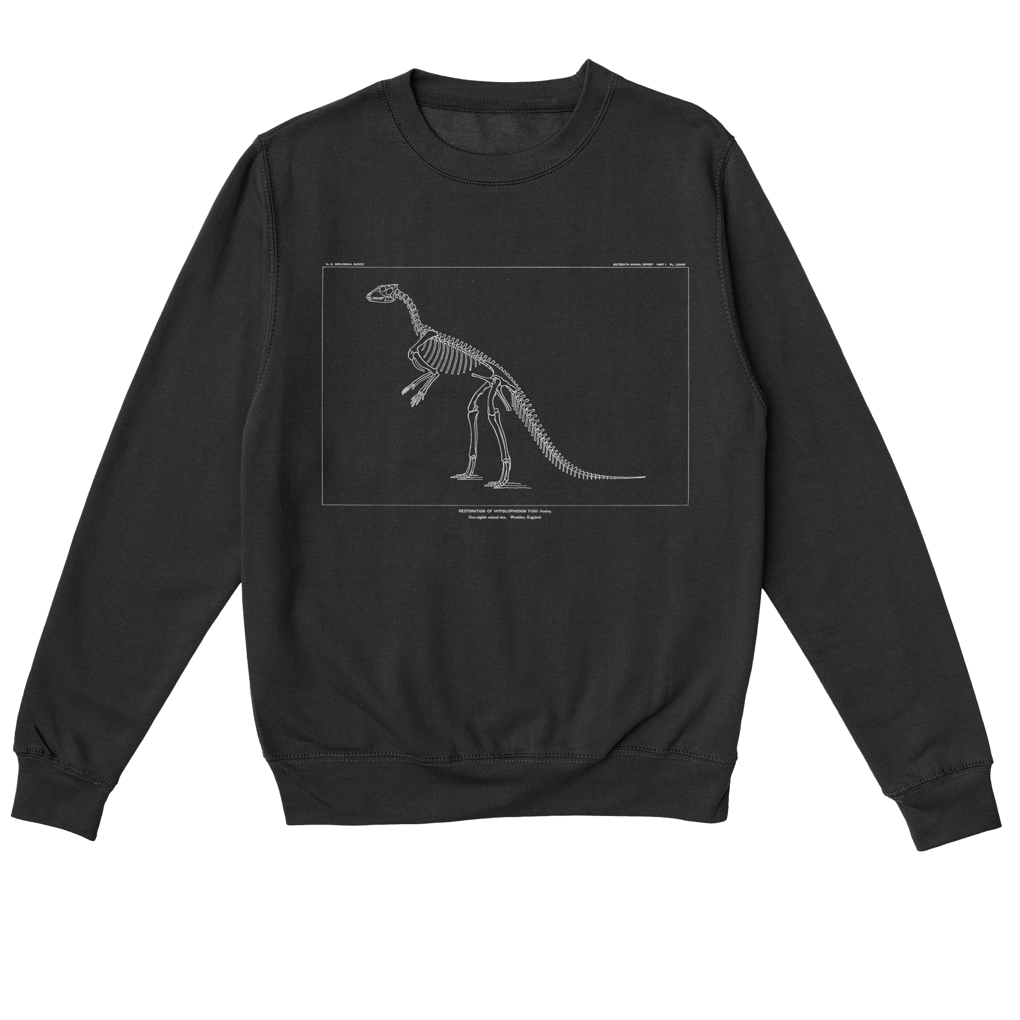 Hypsilophodon Foxii – Vintage Dinosaur Illustration Sweatshirt