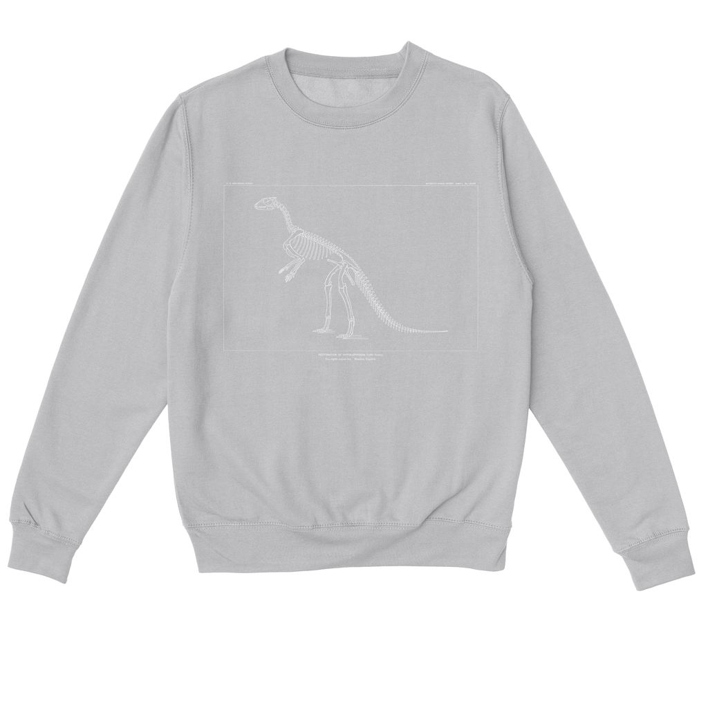 Hypsilophodon Foxii – Vintage Dinosaur Illustration Sweatshirt