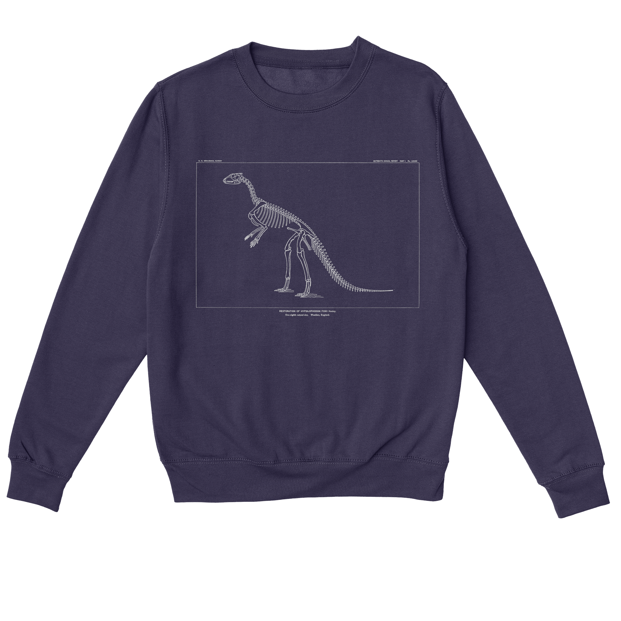 Hypsilophodon Foxii – Vintage Dinosaur Illustration Sweatshirt