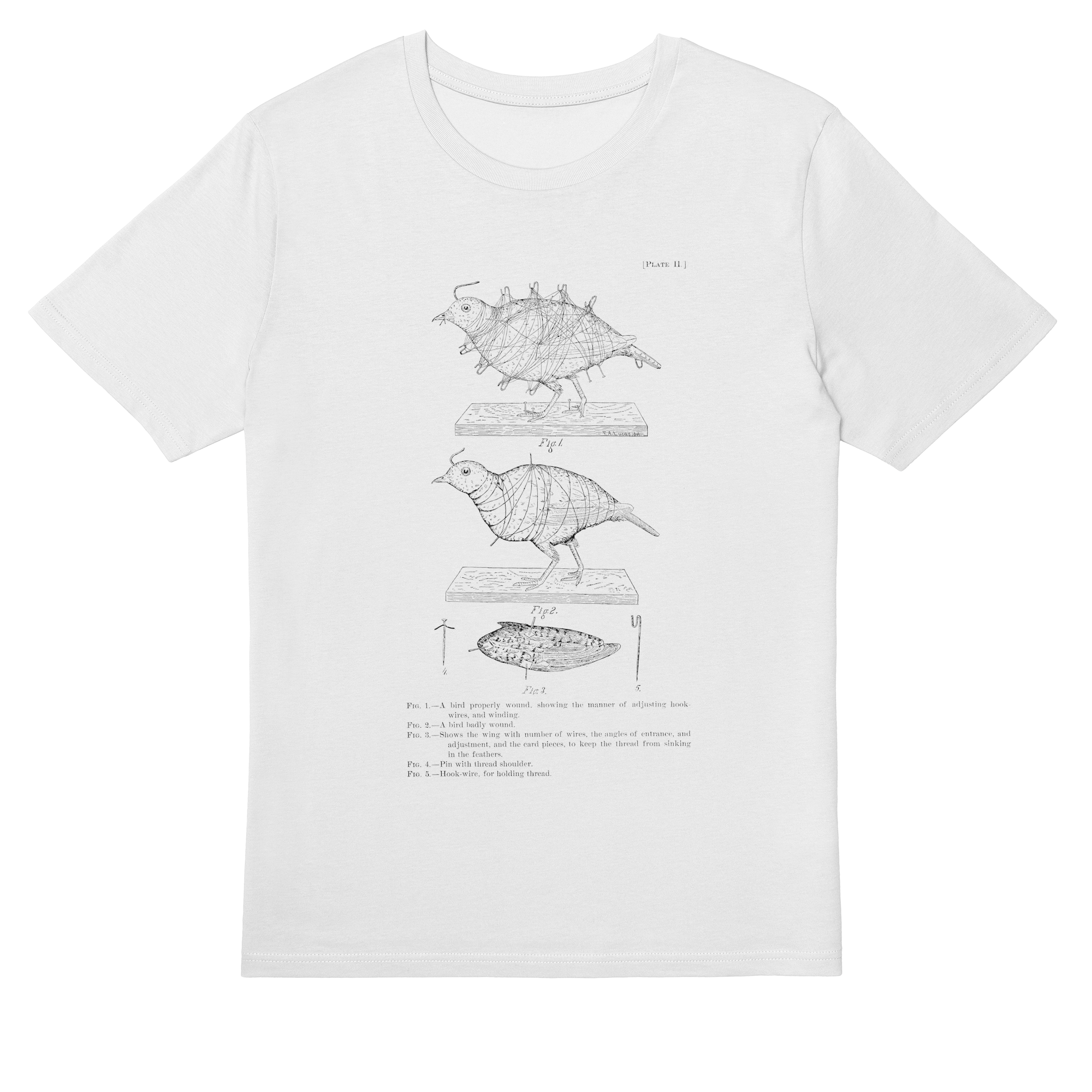 A Bird Properly Wound – Vintage Scientific Illustration T-Shirt