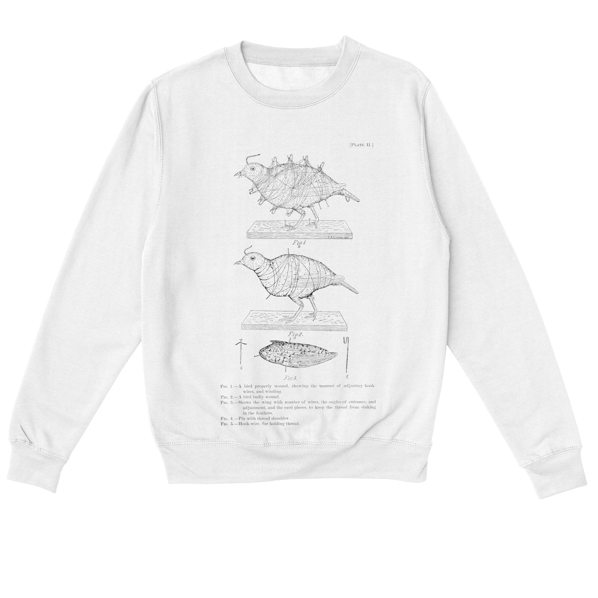A Bird Properly Wound – Vintage Scientific Illustration Sweatshirt
